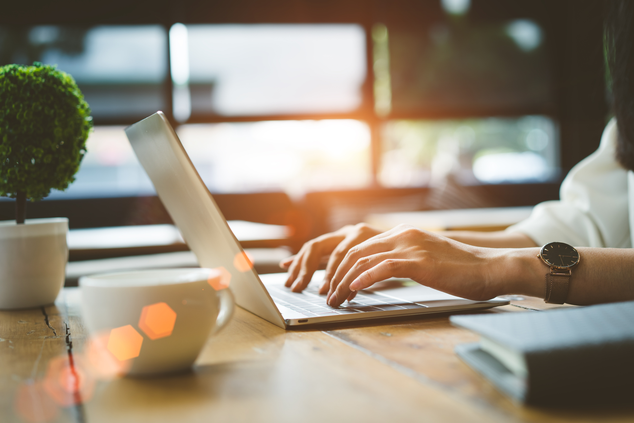 Use Our Online Tools! Use Our Online Tools!