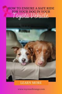 How-can-my-Toyota-near-Irvine-CA-teach-me-how-to-make-my-car-comfortable-for-my-dog