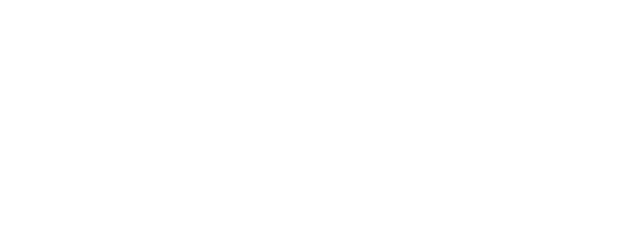 GM Fleet