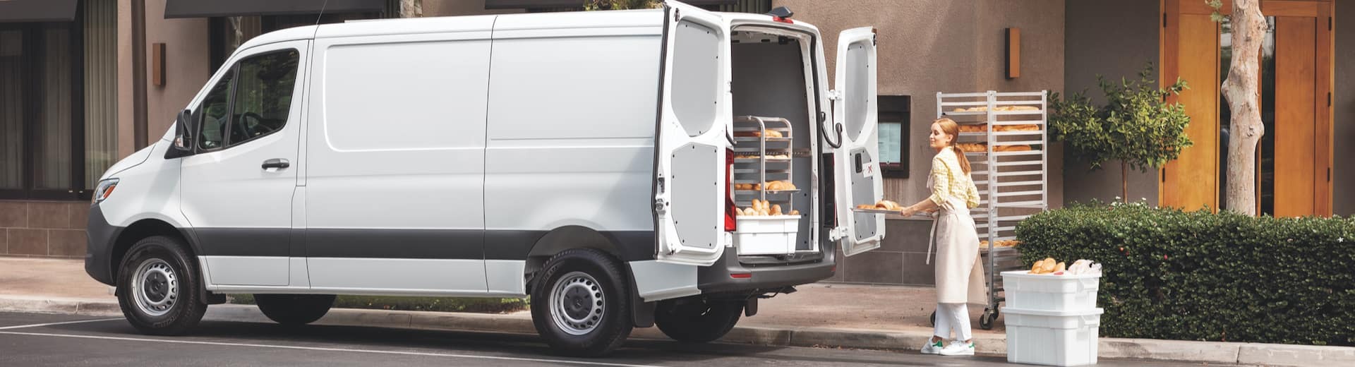 van with backdoors open and a woman standing behind