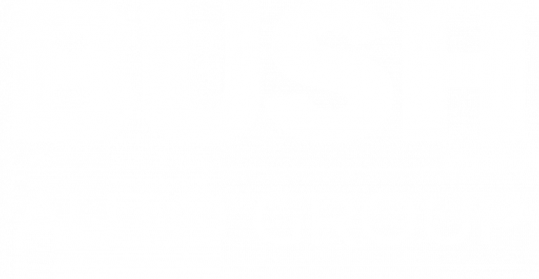 Bush Auto Group