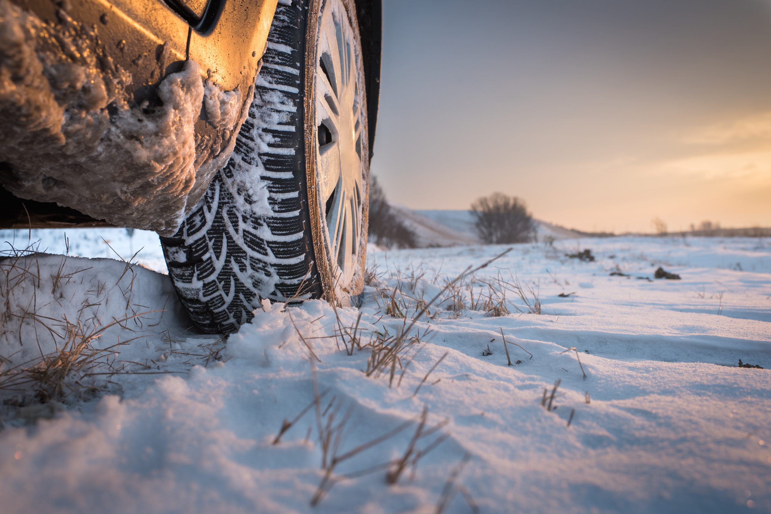 MPI Winter Tire Program