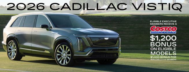 2026 Vistiq