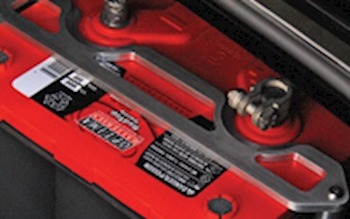 Free Vehicle Check-Up