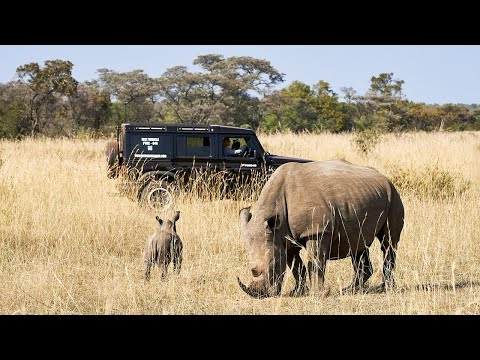 Faith and Piccolo | Grenadier x The Rhino Orphanage