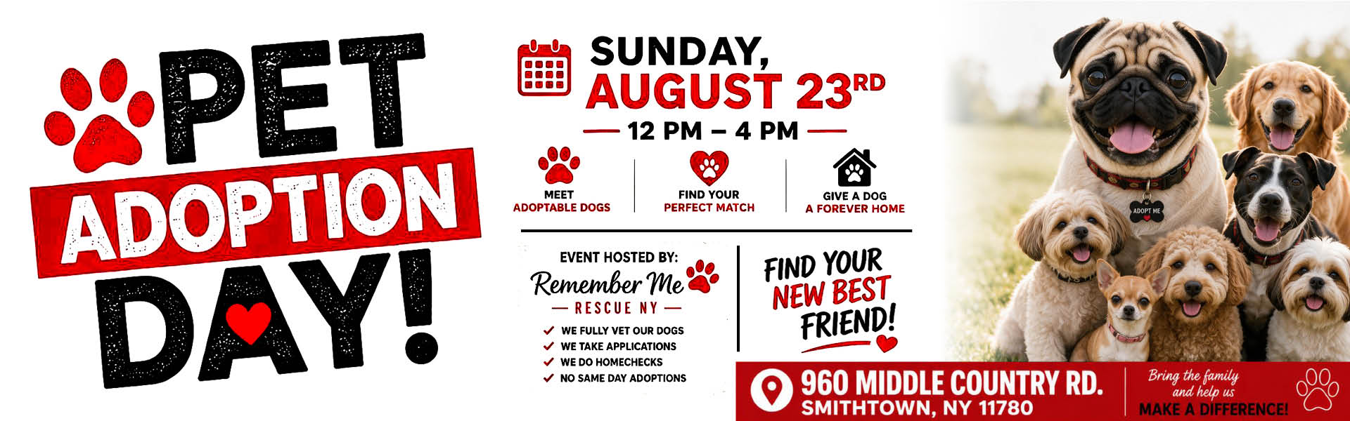 Pet Adoption Day