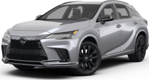 RX Hybrid