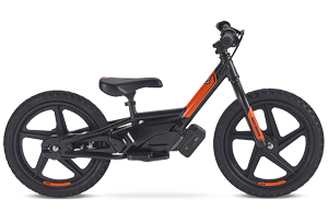Electric Bike For Kids