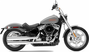 Softail Standard