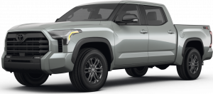 TUNDRA in North Palm Springs