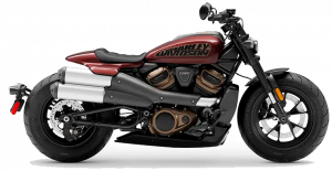 Sportster S