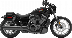 Nightster Special
