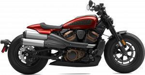 Sportster S