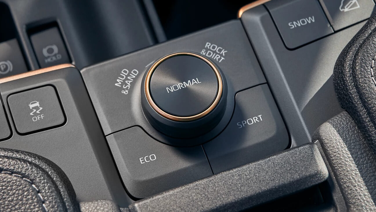 Drive Modes With Multi-Terrain Select