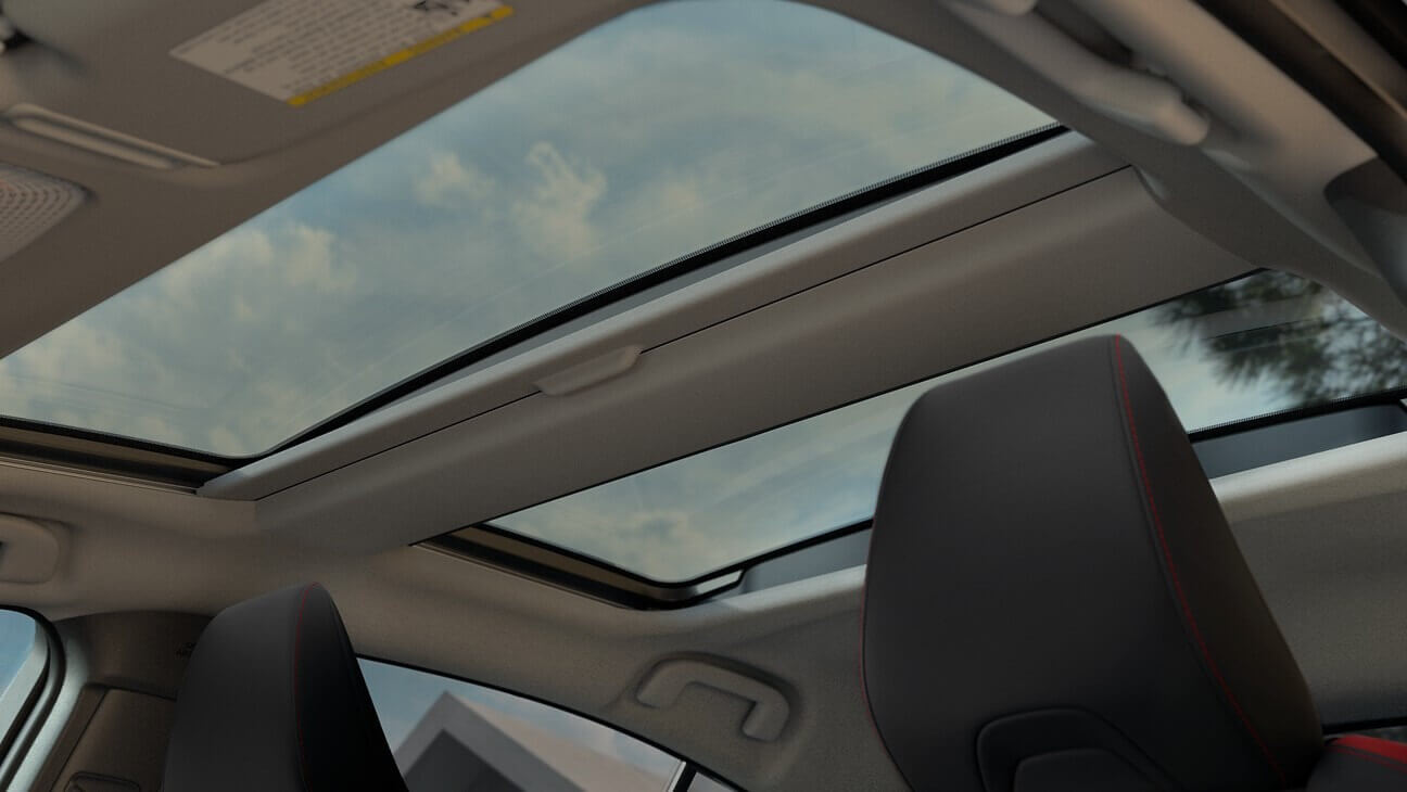 Fixed Glass Roof
